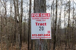 Lightning Ridge Tract 20