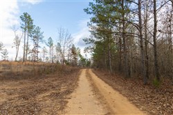 Lightning Ridge Tract 20