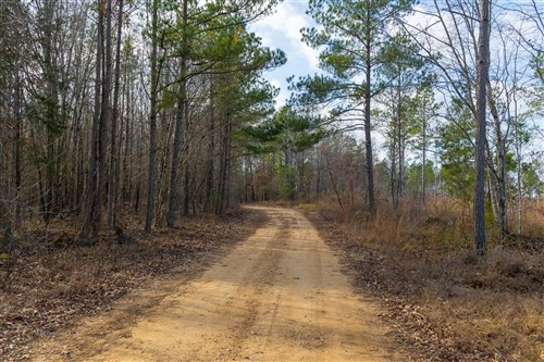 Lightning Ridge Tract 20