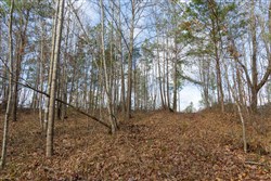 Lightning Ridge Tract 20