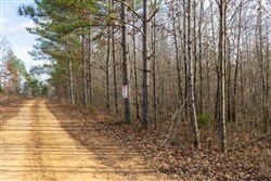 Lightning Ridge Tract 20