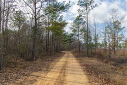 Lightning Ridge Tract 20