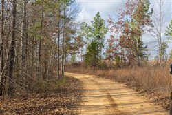 Lightning Ridge Tract 21