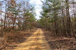 Lightning Ridge Tract 21