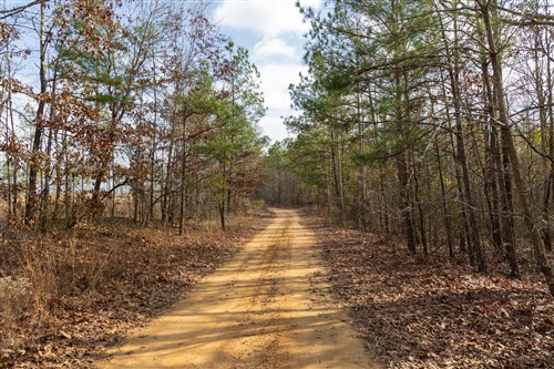 Lightning Ridge Tract 21