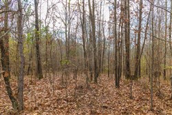 Lightning Ridge Tract 21