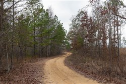 Lightning Ridge Tract 22