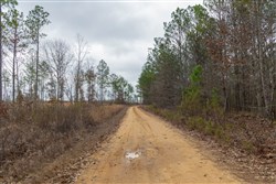 Lightning Ridge Tract 22