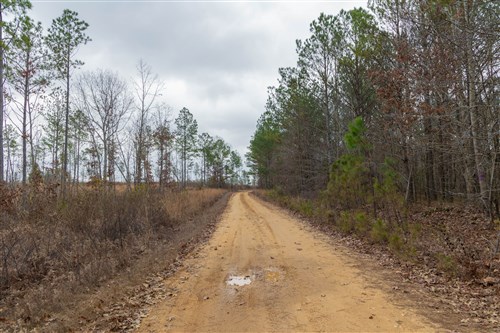 Lightning Ridge Tract 22