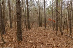 Lightning Ridge Tract 22