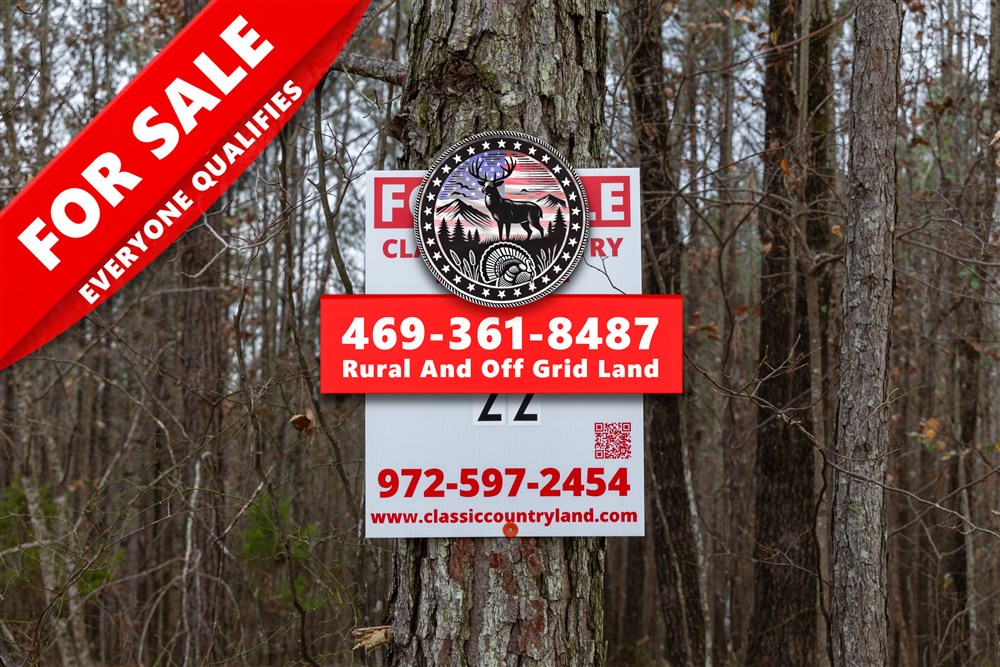 Lightning Ridge Tract 22 - Primary