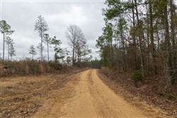 Lightning Ridge Tract 23