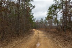 Lightning Ridge Tract 23