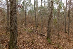 Lightning Ridge Tract 23