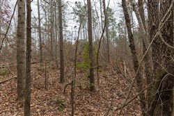 Lightning Ridge Tract 23