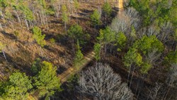 Lightning Ridge Tract 24