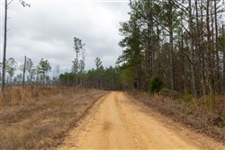 Lightning Ridge Tract 24