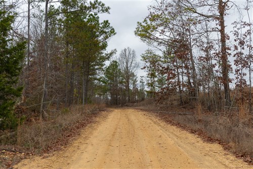 Lightning Ridge Tract 24