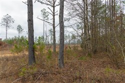 Lightning Ridge Tract 24