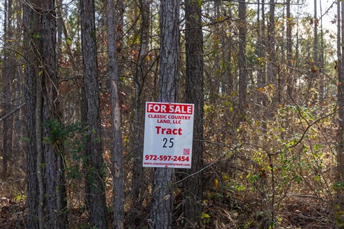 Lightning Ridge Tract 25