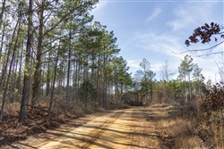 Lightning Ridge Tract 25
