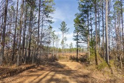 Lightning Ridge Tract 25