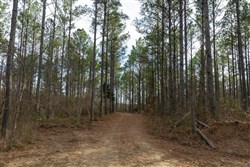 Lightning Ridge Tract 25