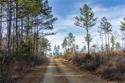 Lightning Ridge Tract 26