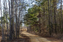 Lightning Ridge Tract 26