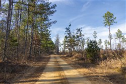 Lightning Ridge Tract 27