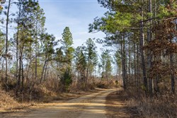 Lightning Ridge Tract 27