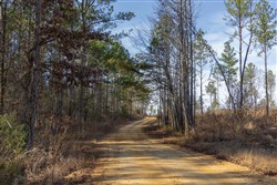 Lightning Ridge Tract 27