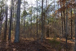 Lightning Ridge Tract 27