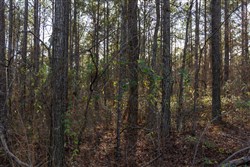 Lightning Ridge Tract 27