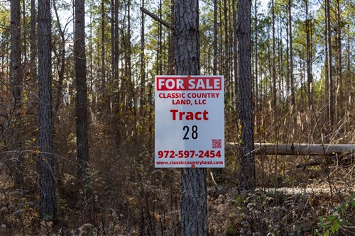 Lightning Ridge Tract 28