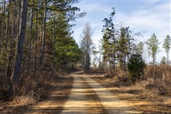 Lightning Ridge Tract 28