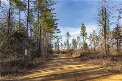 Lightning Ridge Tract 28