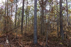 Lightning Ridge Tract 28