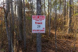 Lightning Ridge Tract 29