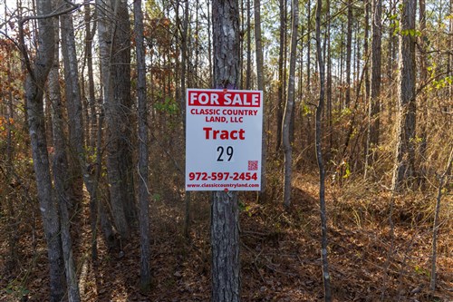 Lightning Ridge Tract 29