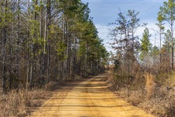 Lightning Ridge Tract 29