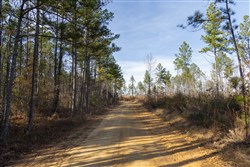 Lightning Ridge Tract 29