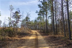 Lightning Ridge Tract 29