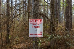 Lightning Ridge Tract 3