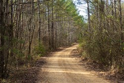 Lightning Ridge Tract 3