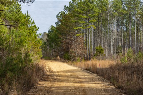 Lightning Ridge Tract 3