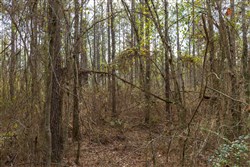 Lightning Ridge Tract 3