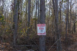 Lightning Ridge Tract 30