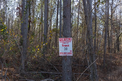 Lightning Ridge Tract 30