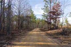 Lightning Ridge Tract 30